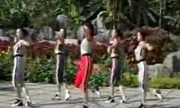 蕉林情歌民族舞蹈